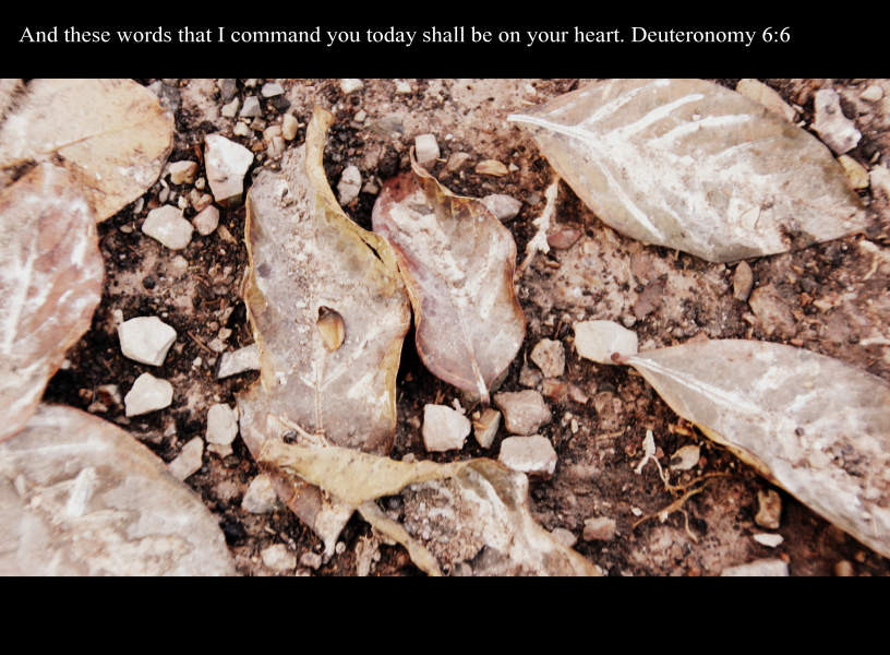 Deuteronomy 6