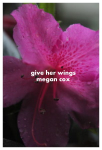 Give Her Wings