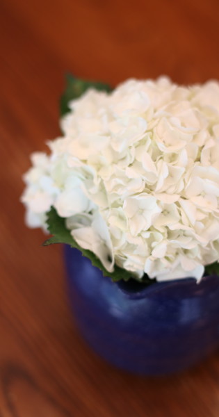 White Hydrangeas